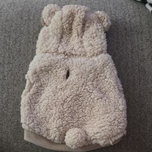 Cozy Cream Teddy Bear Dog Hoodie